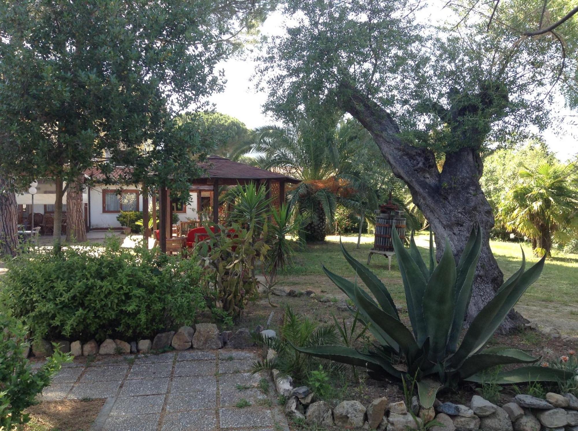 מרינה די קמפו Hotel Santa Caterina מראה חיצוני תמונה